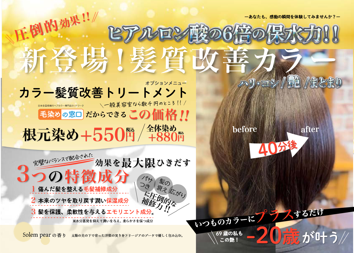 オプションメニュー　TR